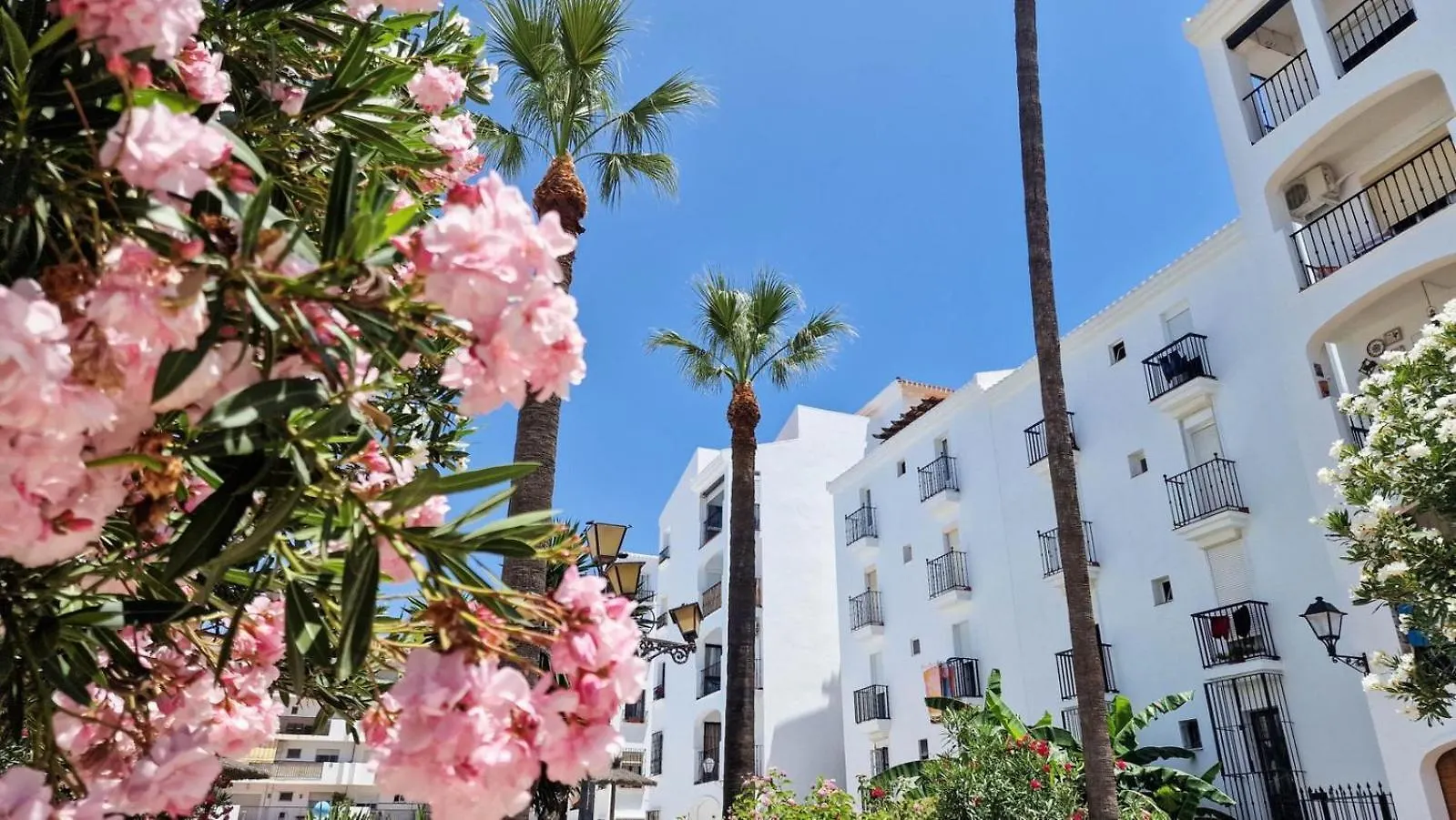 Beautiful Beachfront Newly Renovated 2 Bedroom Apartment With Swimming Pool And Garden 산루이스데사비닐라스 스페인